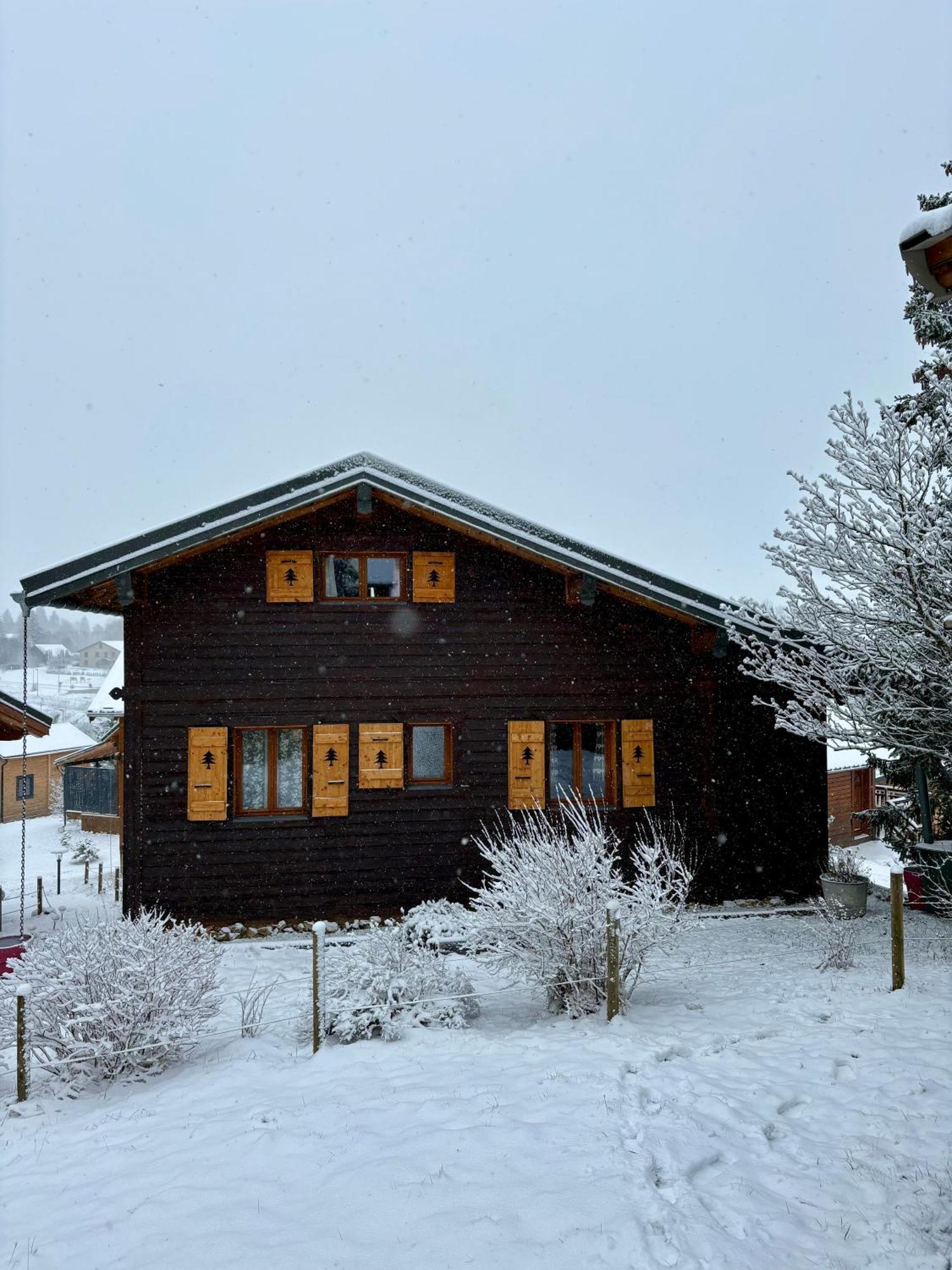 Chalet L'Embellie - Chalet Avec Piscine Partagee Saint-Laurent-en-Grandvaux 外观 照片