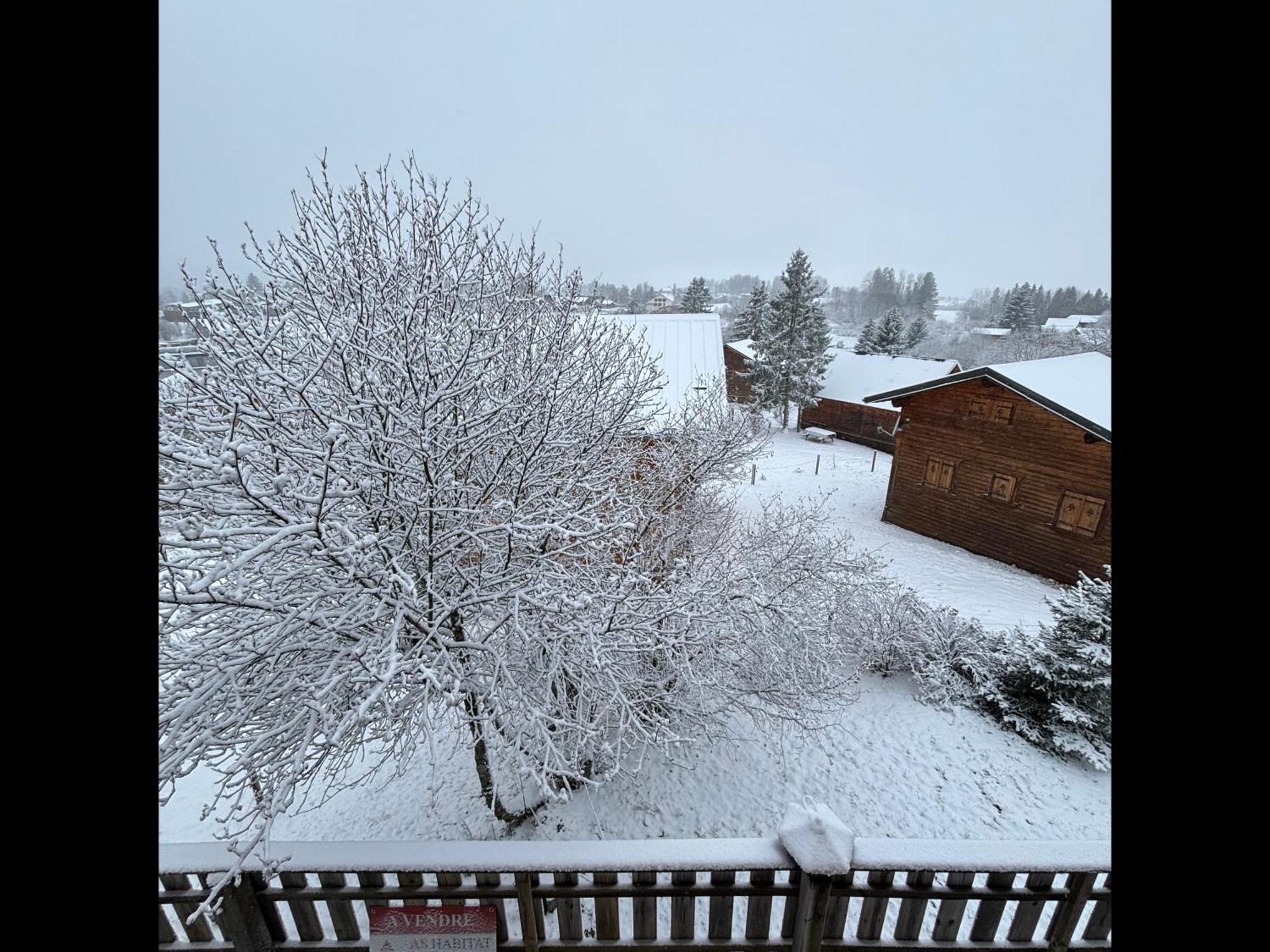Chalet L'Embellie - Chalet Avec Piscine Partagee Saint-Laurent-en-Grandvaux 外观 照片